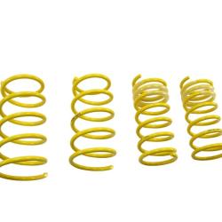 ST SUSPENSIONS 65820