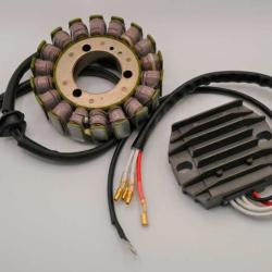 RICKS MOTORSPORT ELECTRICS 1499200H