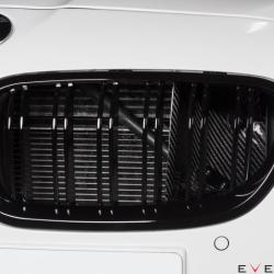 Eventuri EVE-F10M5-CF-INT