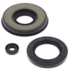 VERTEX PISTONS 55203