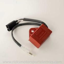 RICKS MOTORSPORT ELECTRICS 15502