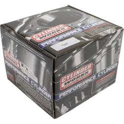 CYLINDER WORKS 310051
