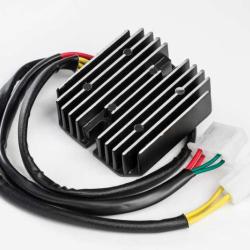 RICKS MOTORSPORT ELECTRICS 10130