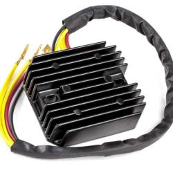 RICKS MOTORSPORT ELECTRICS 10215