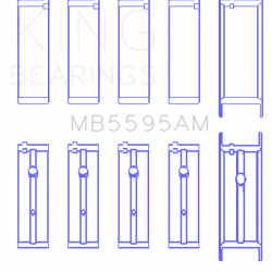 KING ENGINE BEARINGS MB5595AM025