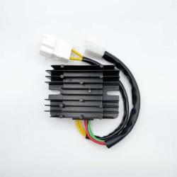 RICKS MOTORSPORT ELECTRICS 14041H