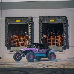 RIGID INDUSTRIES 36204SHREDDY