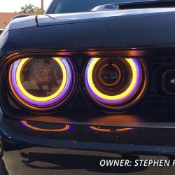 Diode Dynamics DD2248