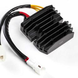 RICKS MOTORSPORT ELECTRICS 10203H