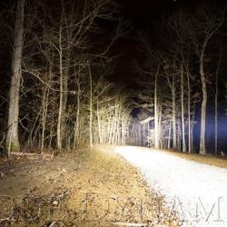 Diode Dynamics DD6038