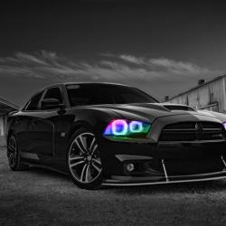 ORACLE LIGHTING 2234334