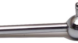 Fidanza 891820