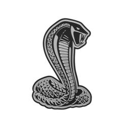 FORD RACING M1447D46