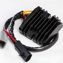 RICKS MOTORSPORT ELECTRICS 10016H