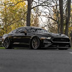 Raceseng 06301B-1526101-0632