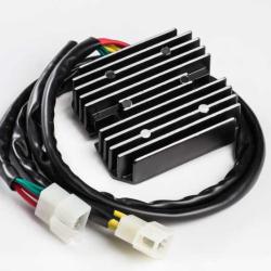 RICKS MOTORSPORT ELECTRICS 10008