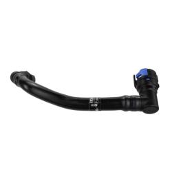 FORD RACING CM6K817M50A