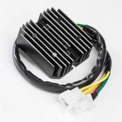 RICKS MOTORSPORT ELECTRICS 10139