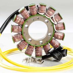 RICKS MOTORSPORT ELECTRICS 21153