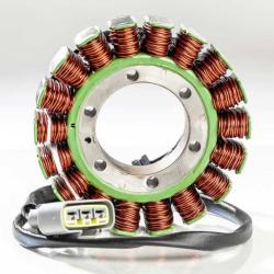 RICKS MOTORSPORT ELECTRICS 21021