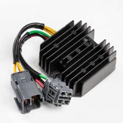 RICKS MOTORSPORT ELECTRICS 10670