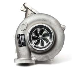 FORCED PERFORMANCE 2005060