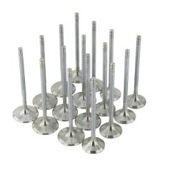 SKUNK2 RACING 310051310