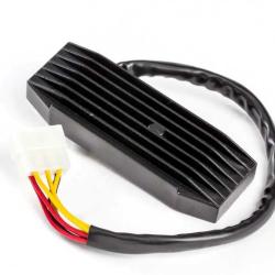 RICKS MOTORSPORT ELECTRICS 10210