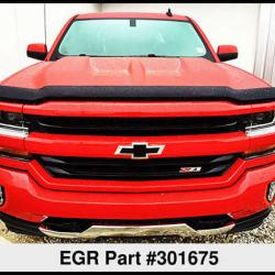 EGR 301675