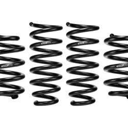 EIBACH E102150010122