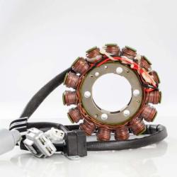 RICKS MOTORSPORT ELECTRICS 21924