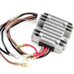 RICKS MOTORSPORT ELECTRICS 10W002