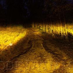 Diode Dynamics DD6142P