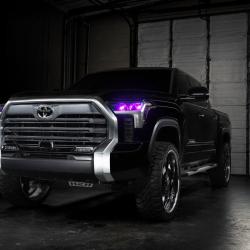 ORACLE LIGHTING 1474334