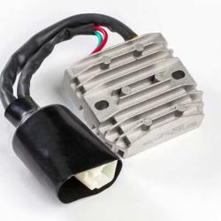 RICKS MOTORSPORT ELECTRICS 10160