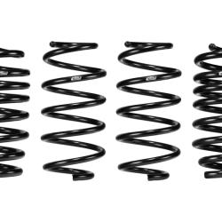 Eibach E10-35-051-02-22