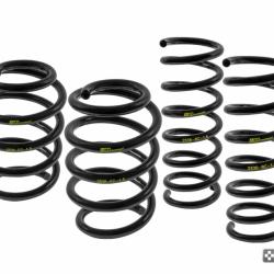 mountune 2536-MSK-RS1