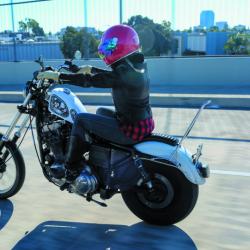 BURLY BRAND B131503C