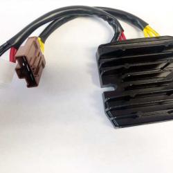 RICKS MOTORSPORT ELECTRICS 14002H