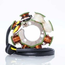 RICKS MOTORSPORT ELECTRICS 21640H