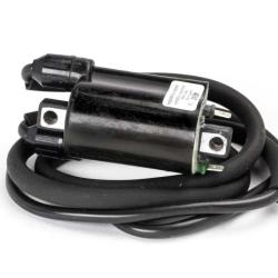 RICKS MOTORSPORT ELECTRICS 23105