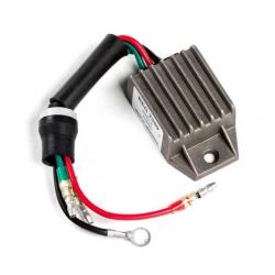 RICKS MOTORSPORT ELECTRICS 10W009