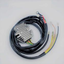 RICKS MOTORSPORT ELECTRICS 10012