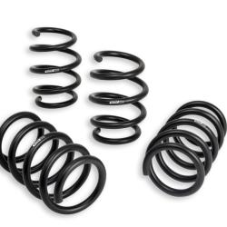 Eibach E10-201-002-01-22