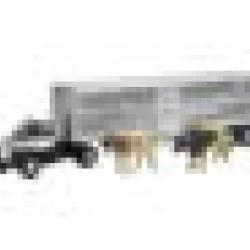 New Ray Toys SS-16116A