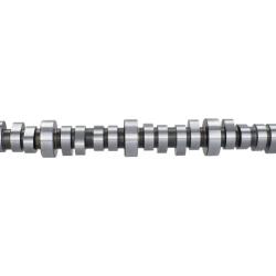 FORD RACING M6250B303