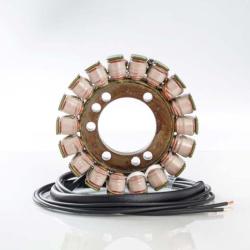 RICKS MOTORSPORT ELECTRICS 21322