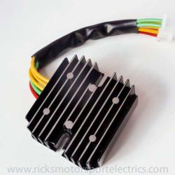 RICKS MOTORSPORT ELECTRICS 14101