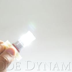 Diode Dynamics DD0167P