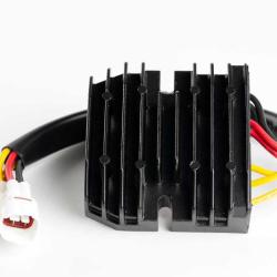 RICKS MOTORSPORT ELECTRICS 10234H